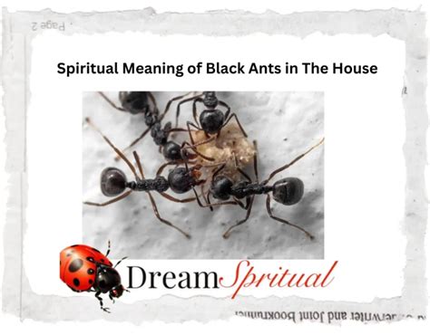 The Symbolic Meaning of Ants on a Child’s Face in Dreams